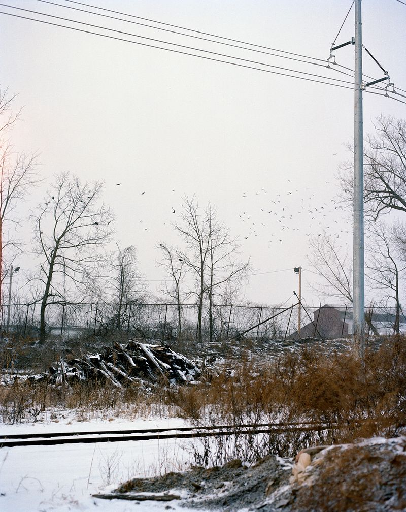 © Ian Edward White - An Unkindness, 2022