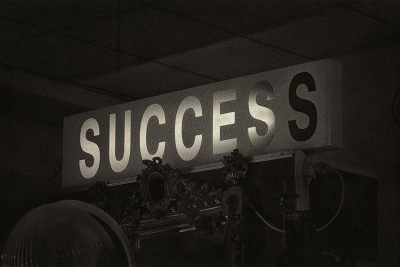 © Dominic Turner - Success?