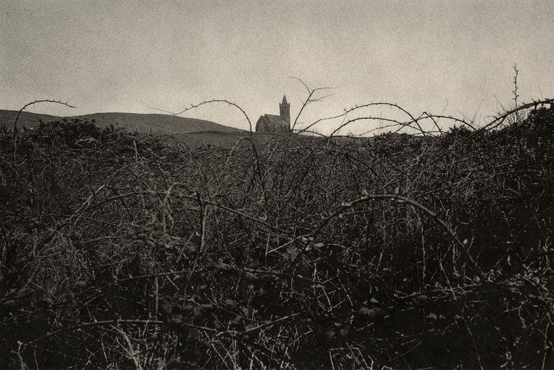 © Dominic Turner - Entanglement