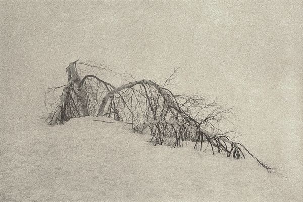 © Dominic Turner - Seasonal Defeat