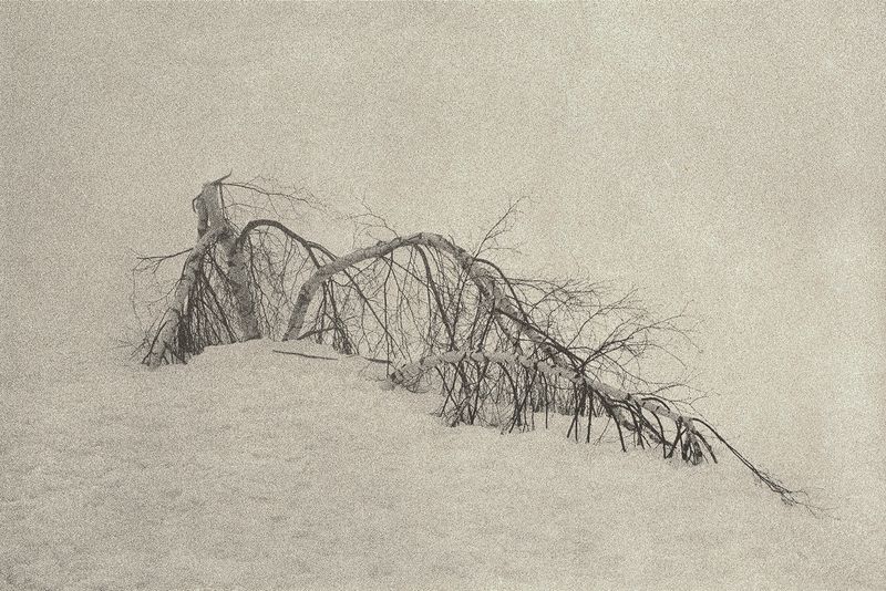 © Dominic Turner - Seasonal Defeat