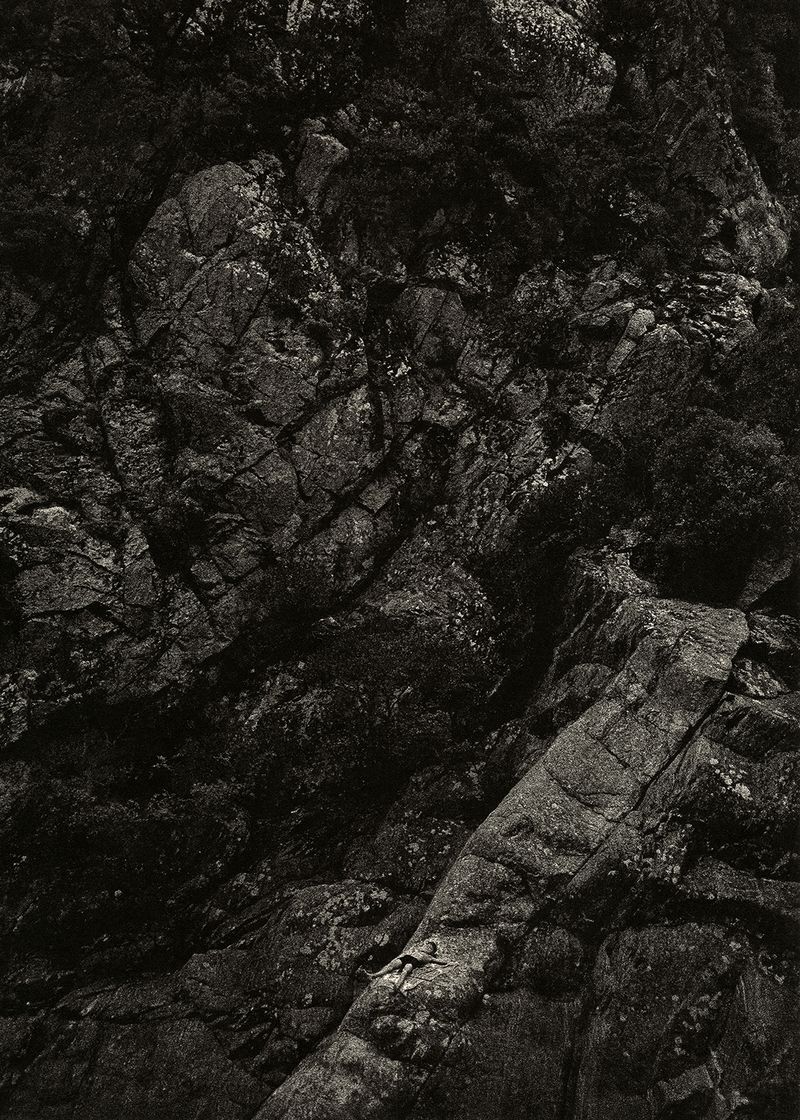 © Dominic Turner - Stranded