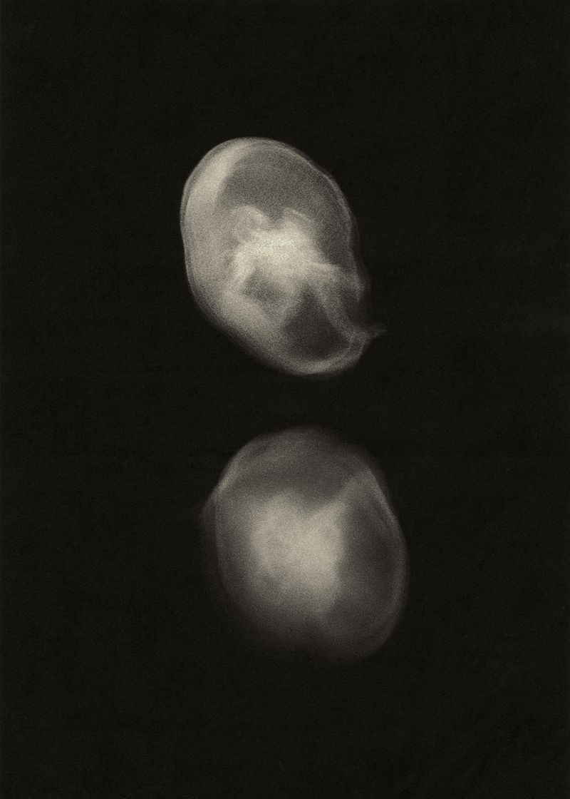 © Dominic Turner - Origins