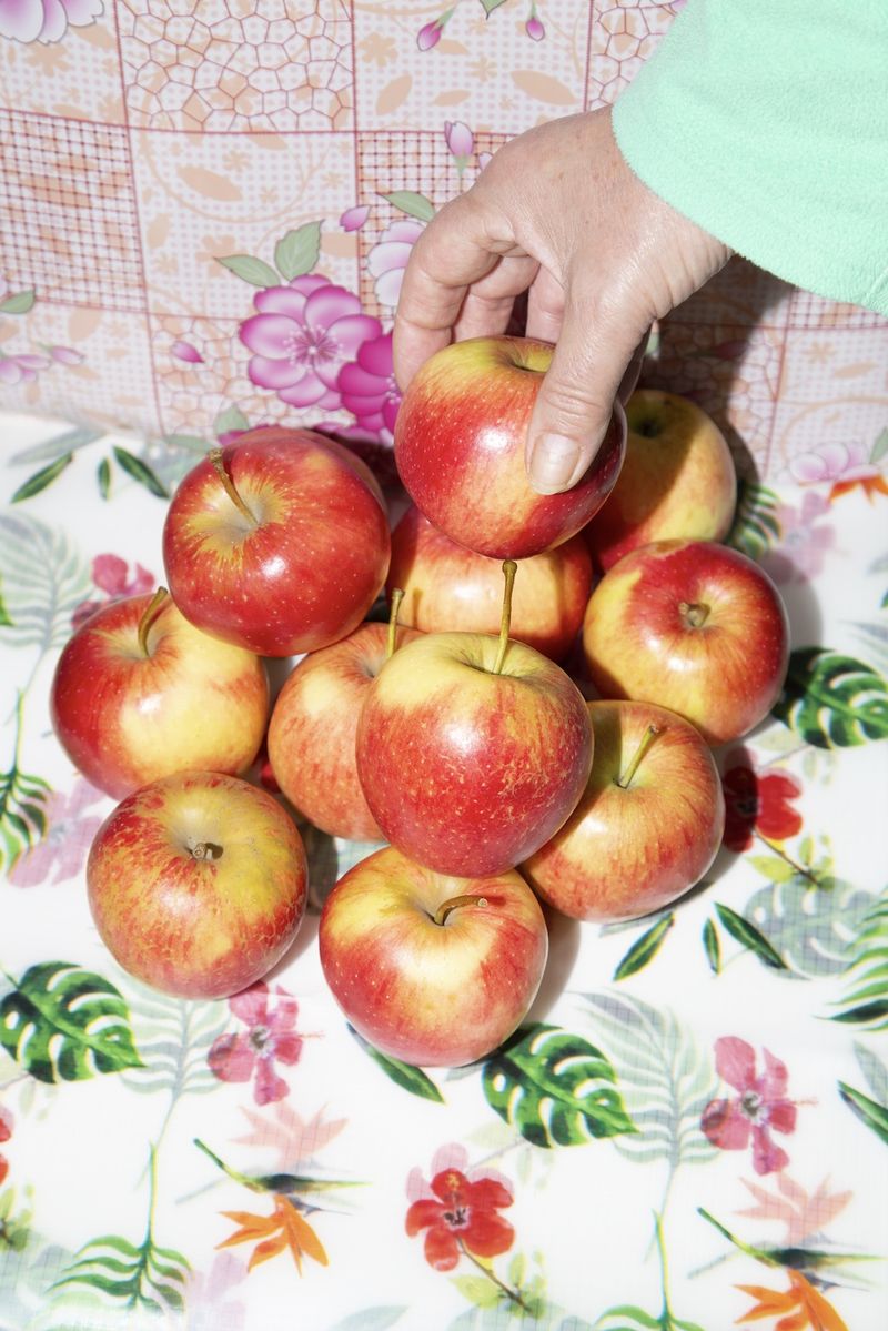 © Sara Lepore - Image from the Ingrediente pentru un tort de miere, cu dragoste photography project