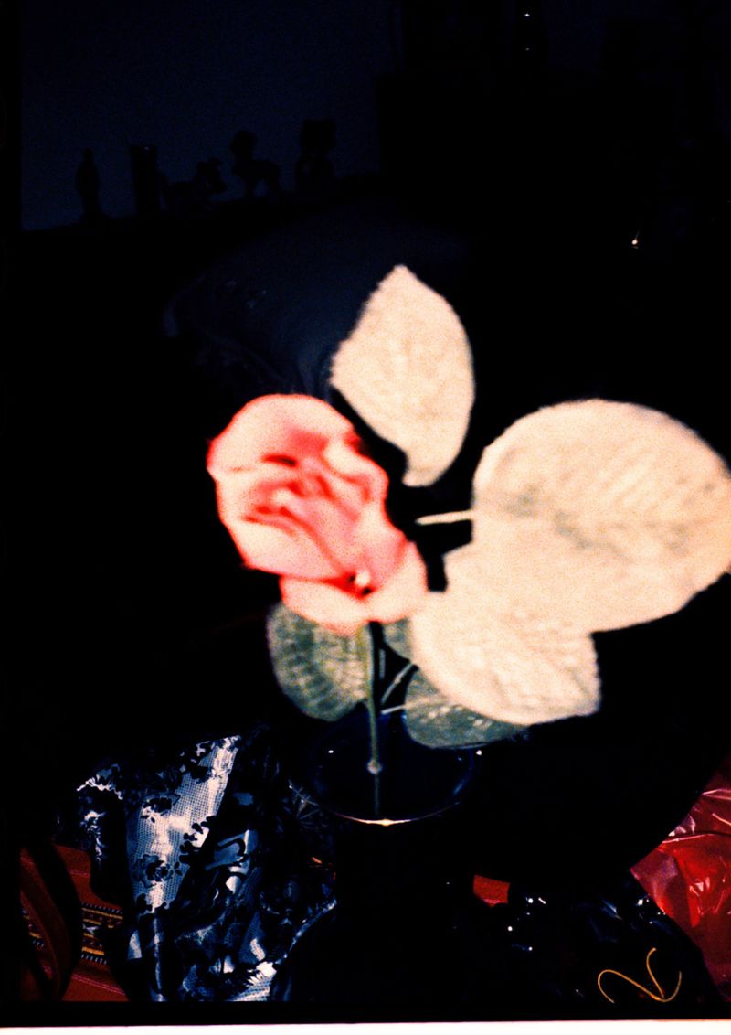 © Sara Lepore - Image from the Ingrediente pentru un tort de miere, cu dragoste photography project