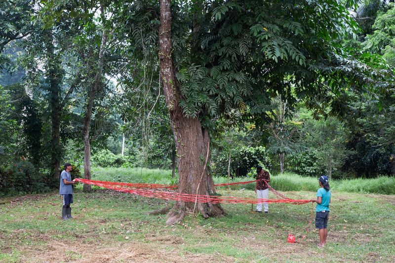 © Maite Vanhellemont - ‘New ritual’ in our family garden in Indonesia, 2024.