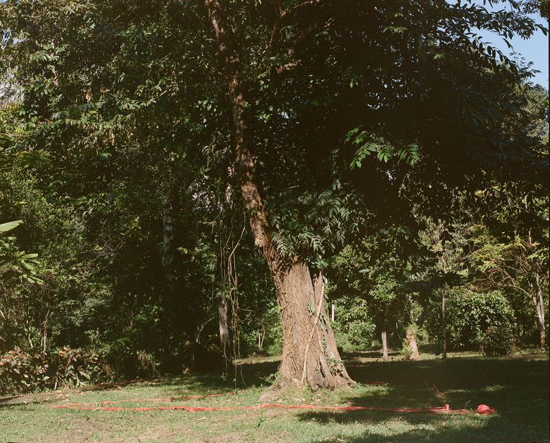 © Maite Vanhellemont - Image from the A Little Memory Of The Beginning photography project