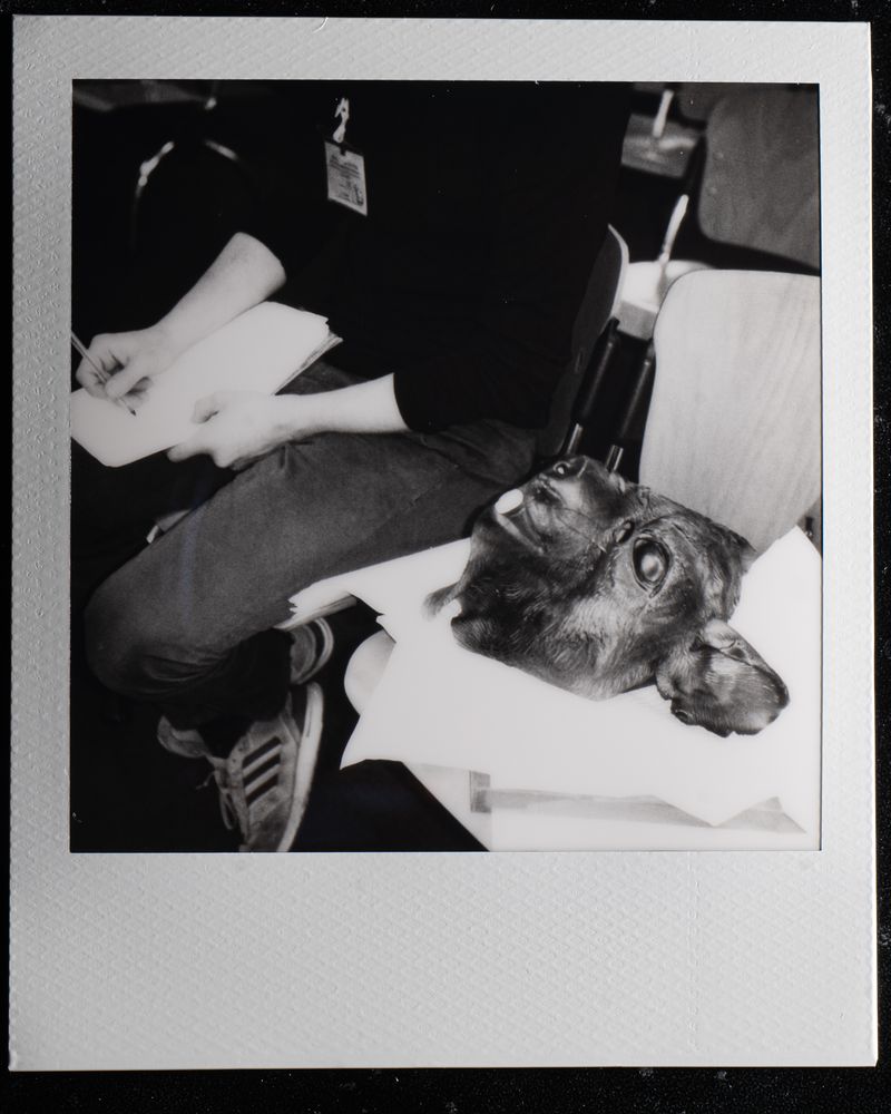 © mantoz - Image from the tra le sbarre e la scena photography project