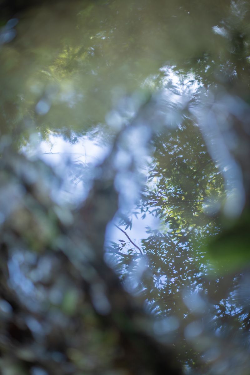 © hiroko murayama - Image from the His Own Antlers photography project