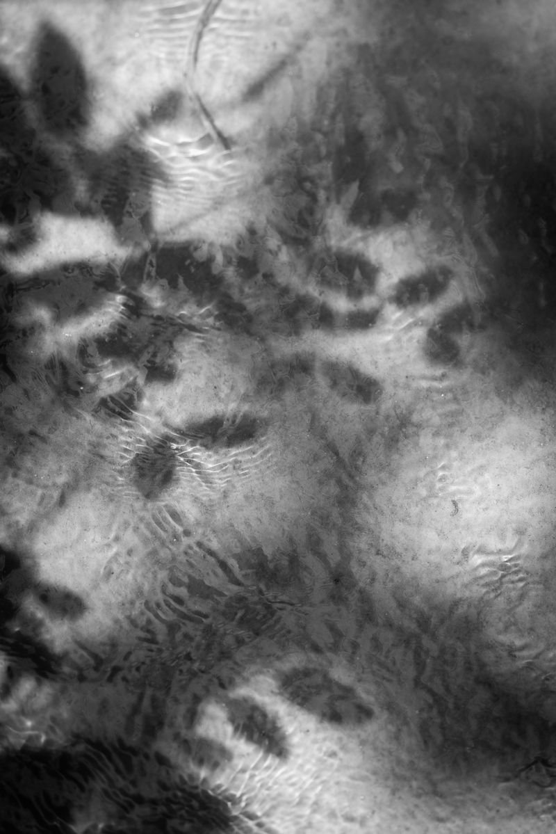 © hiroko murayama - Image from the His Own Antlers photography project