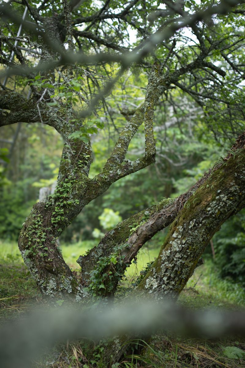 © hiroko murayama - Image from the The Illusion of Us photography project