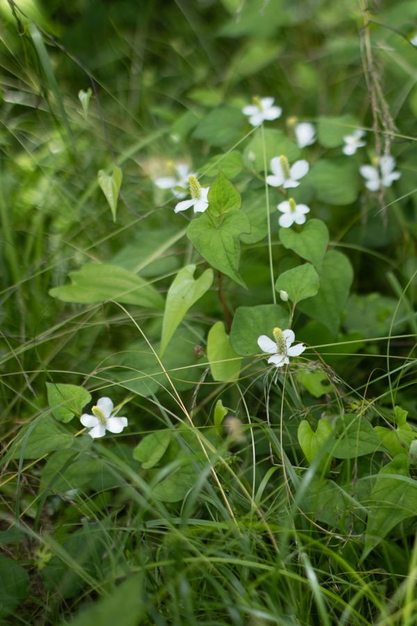 © hiroko murayama - Image from the The Illusion of Us photography project