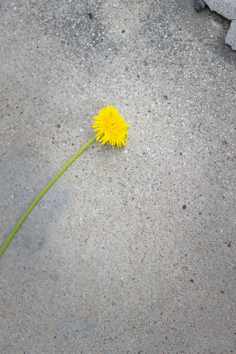 © hiroko murayama - Image from the The Illusion of Us photography project