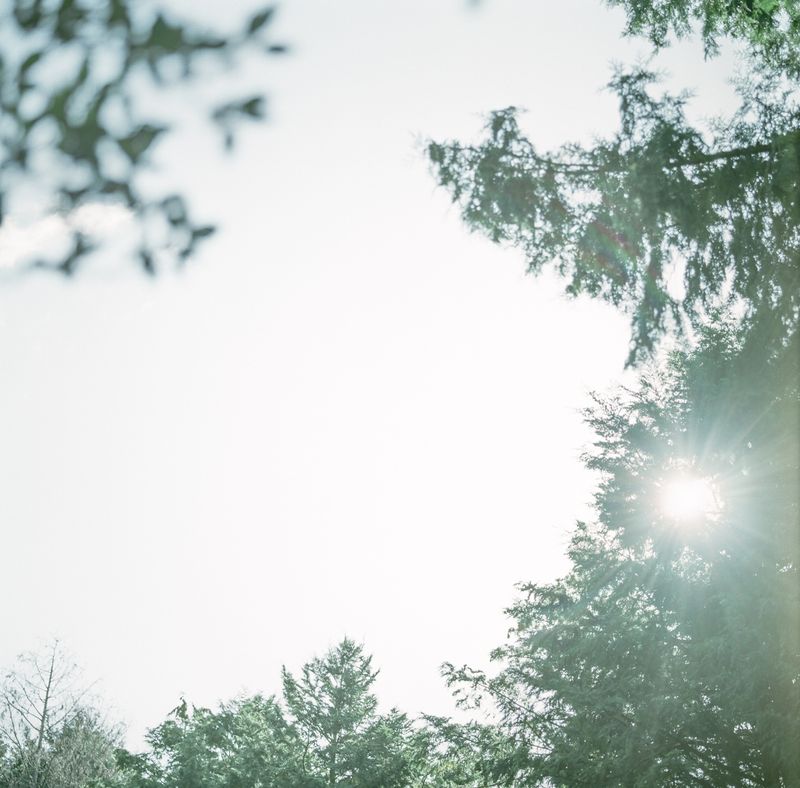 © hiroko murayama - Image from the A Quiet Erosion photography project