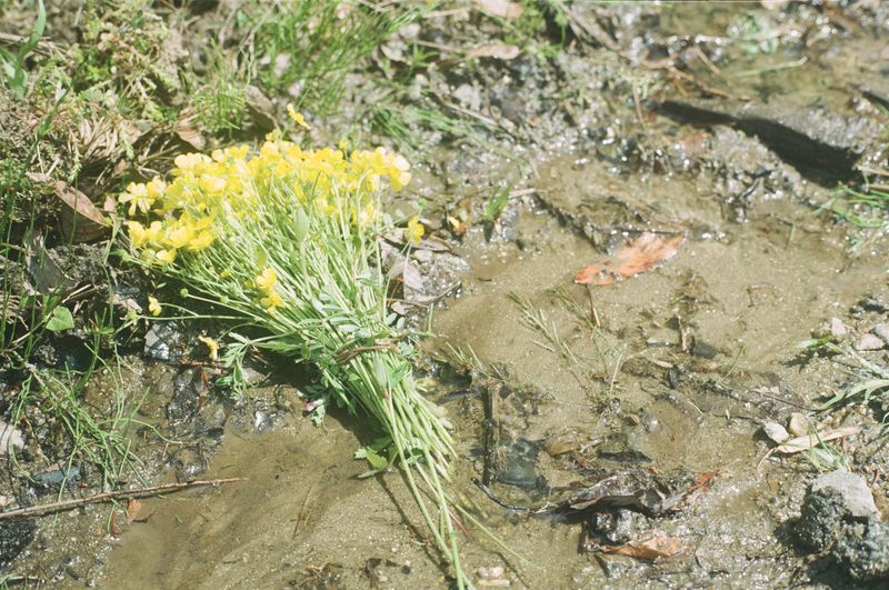 © hiroko murayama - Image from the A Quiet Erosion photography project