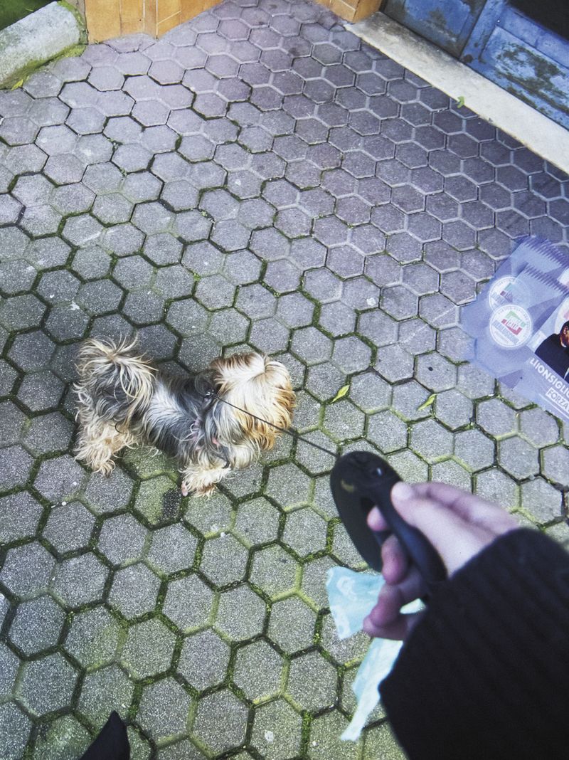 © Eva manuela rivas bao - Me with Mia, Fadil's dog, still alive.