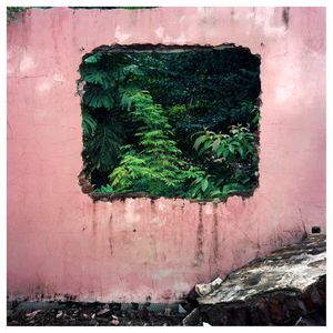 ¨The square kingdom¨