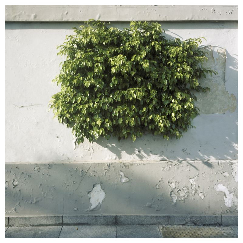 © Tomás Cambas - ¨C¨, 2015, Inkjet print, 1 x 1 mts.