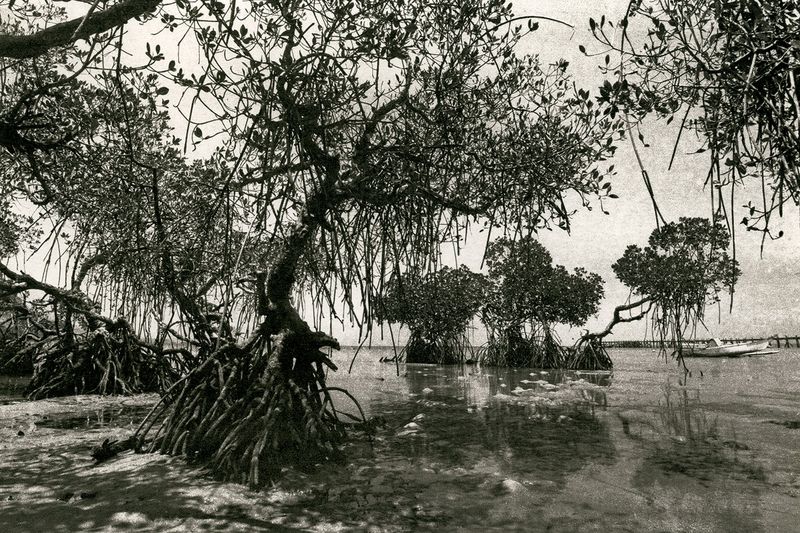 © Guillaume Holzer - Image from the Nomadism photography project
