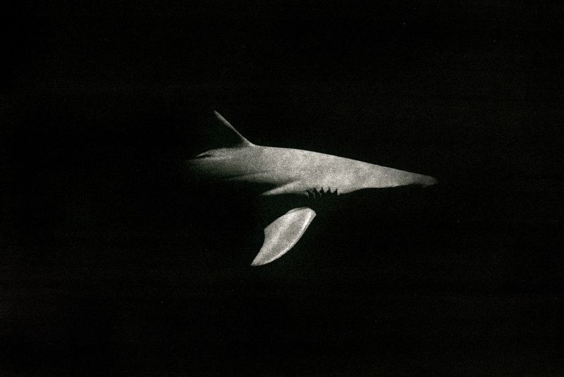 © Guillaume Holzer - Image from the Nomadism photography project