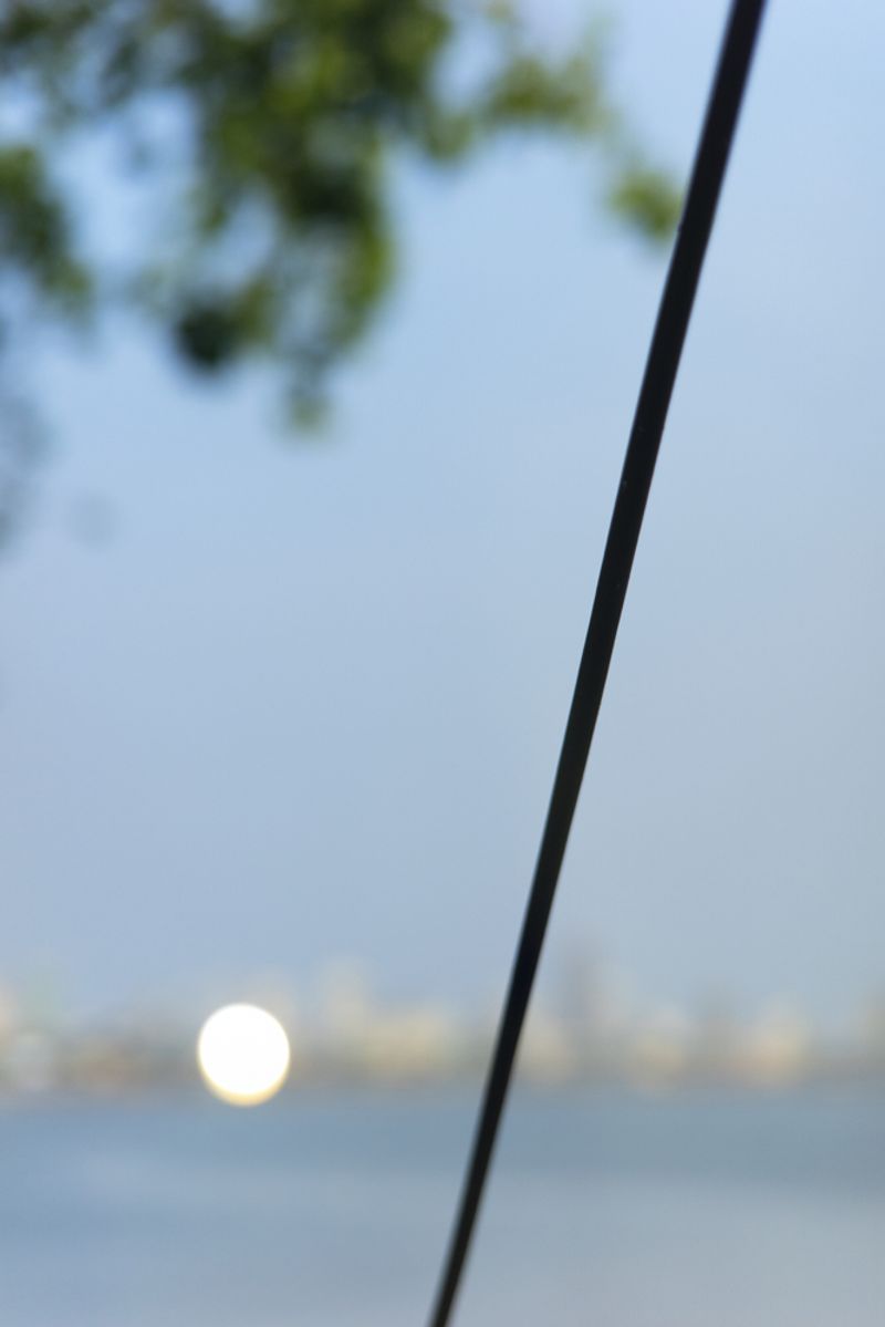 © Sushant - Reflect