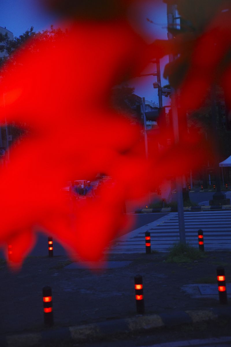 © Sushant - Fish Tank