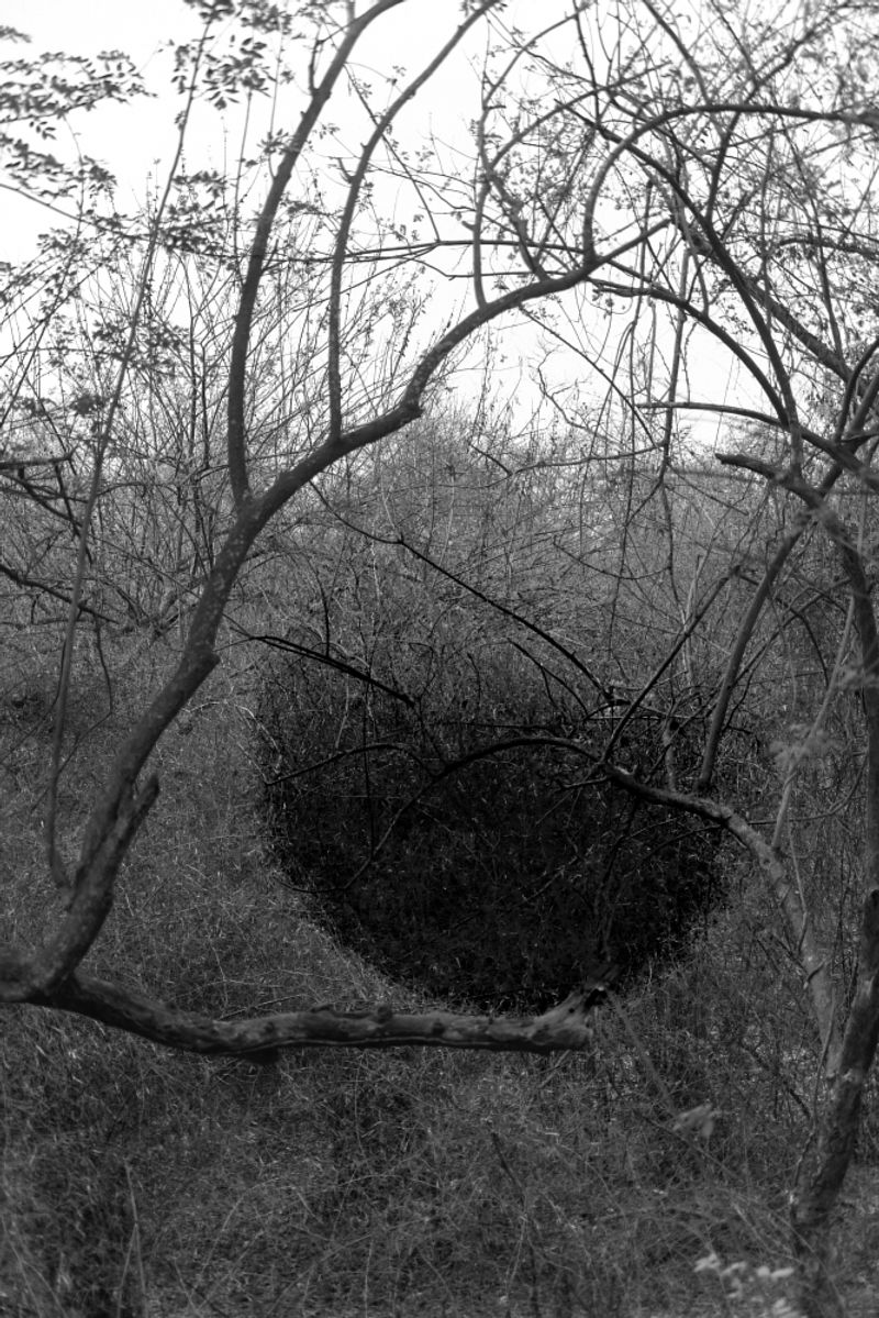 © Sushant - Heatstroke