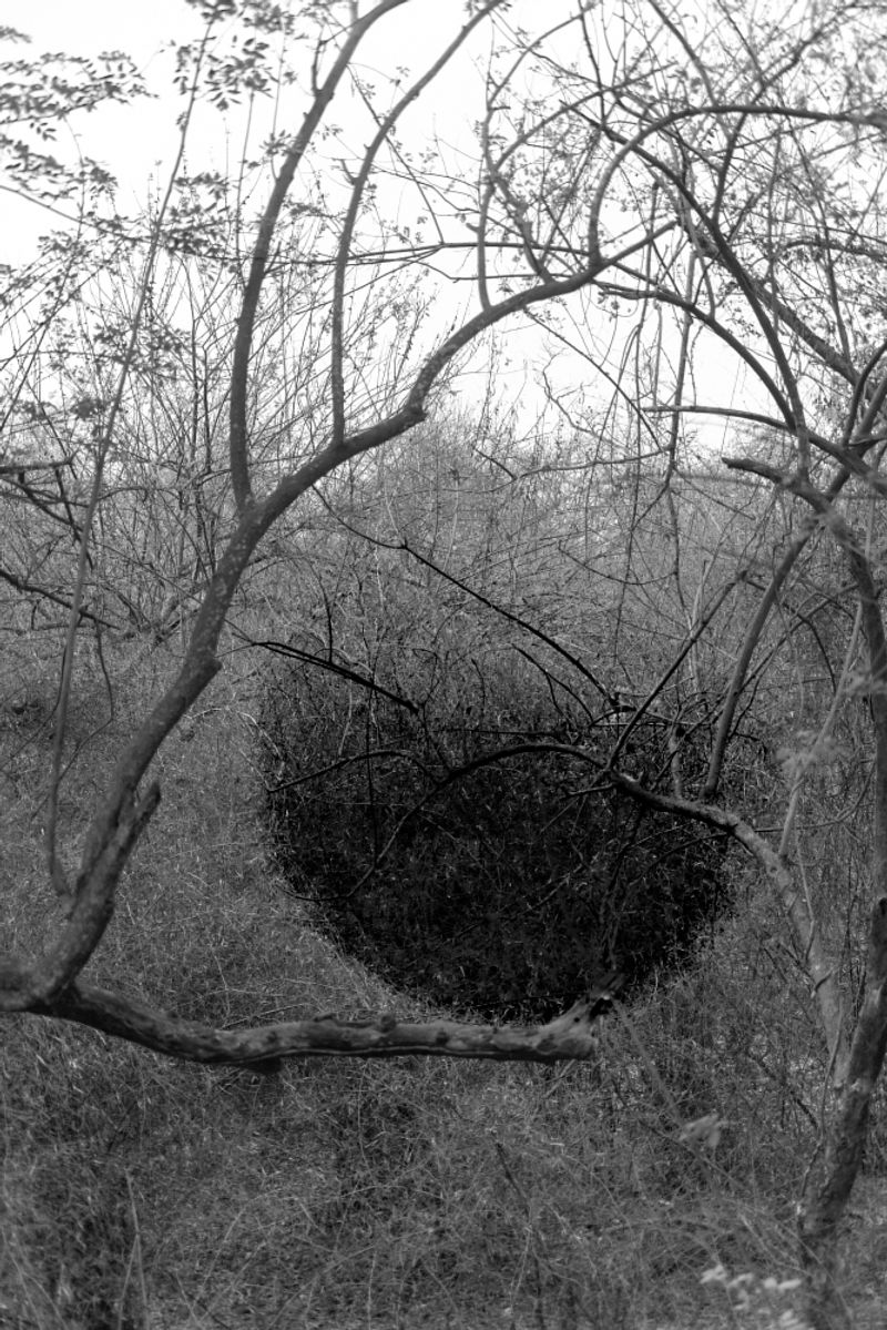 © Sushant - Heatstroke