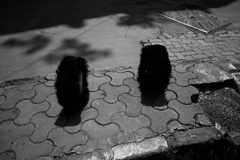 © Sushant - Out of Focus