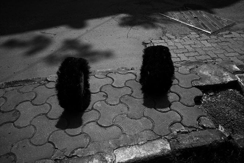 © Sushant - Out of Focus