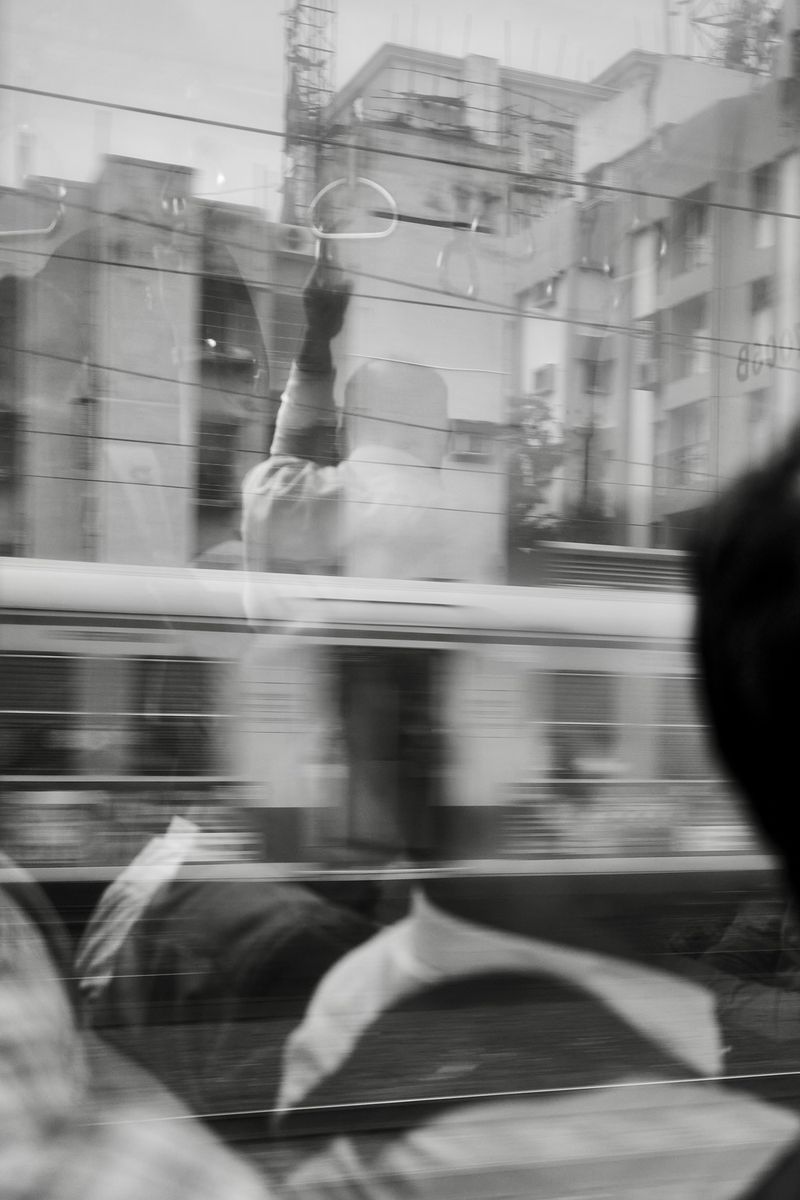 © Sushant - Image from the CITY BIRDS photography project