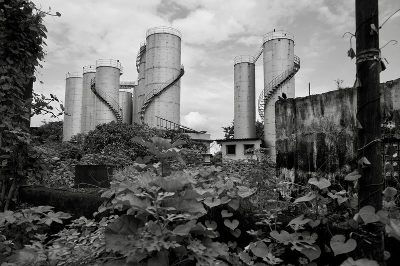 © Sushant - Image from the CITY BIRDS photography project
