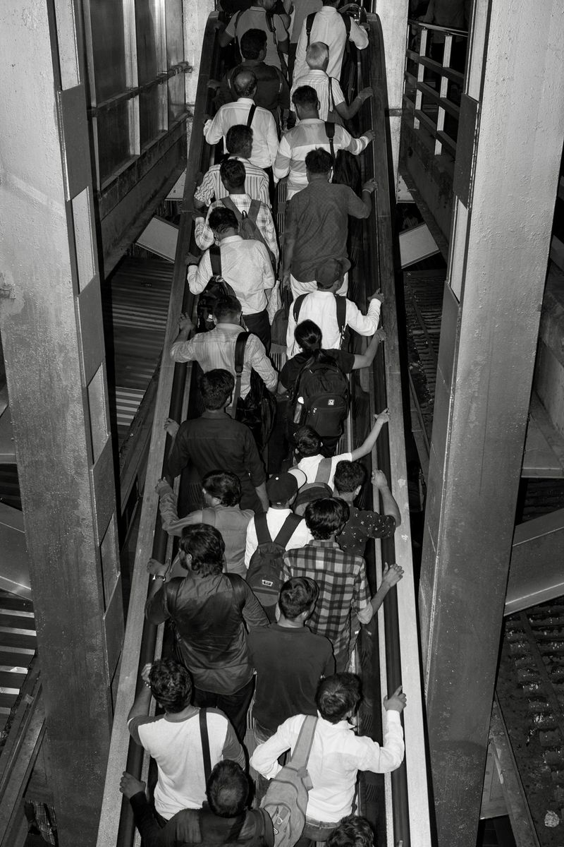 © Sushant - Image from the CITY BIRDS photography project