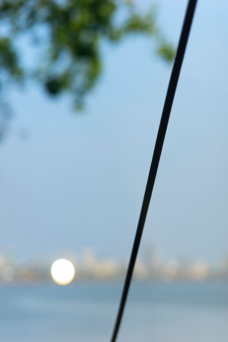 © Sushant - Reflect