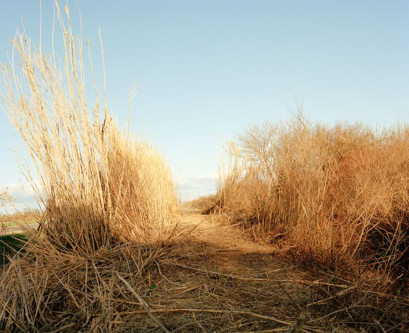 © Francesco Canova - Landscape after a storm. Arles, 2024.