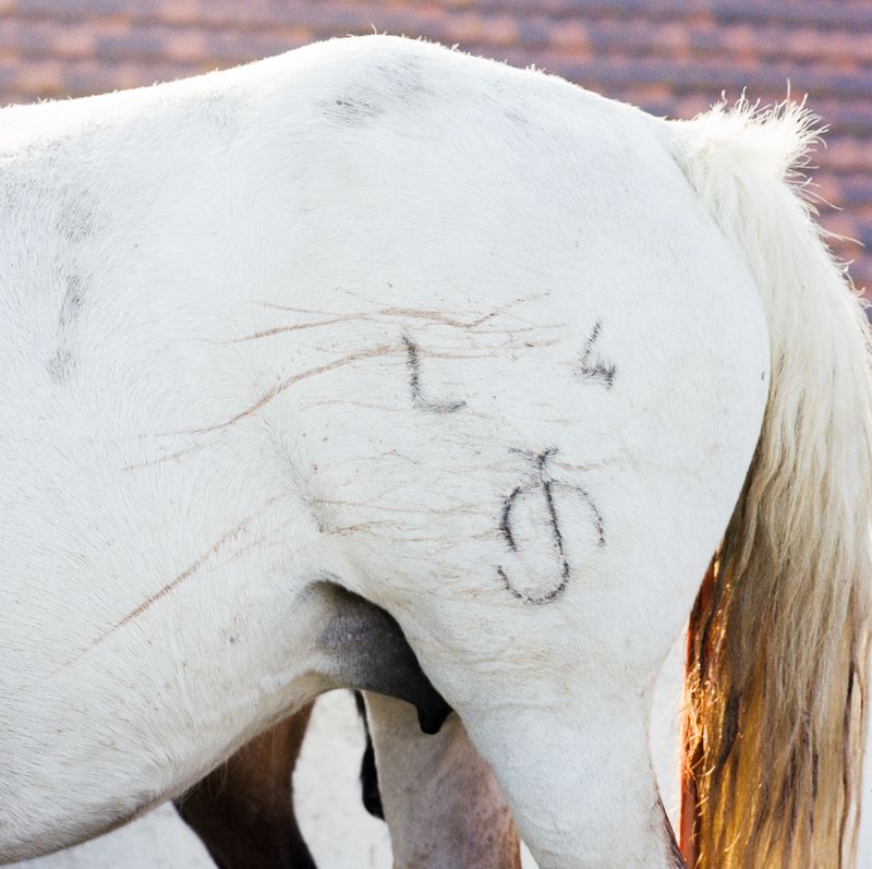 © Francesco Canova - Image from the Beyond sighs and shadows photography project