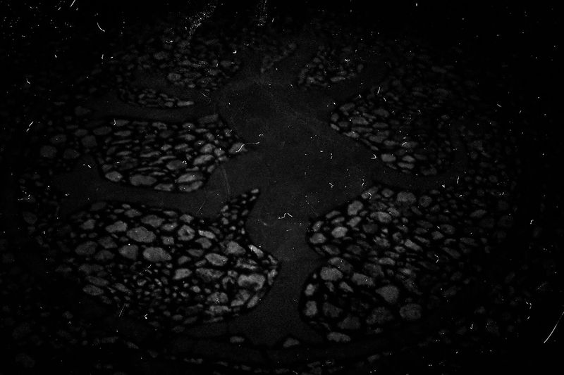 © Alessandro Silverj - Image from the Presence photography project
