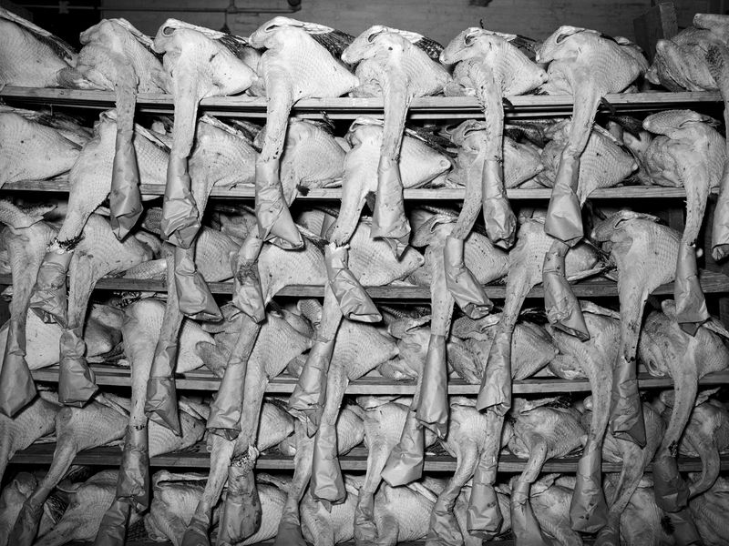 © Alessandro Silverj - Image from the Presence photography project