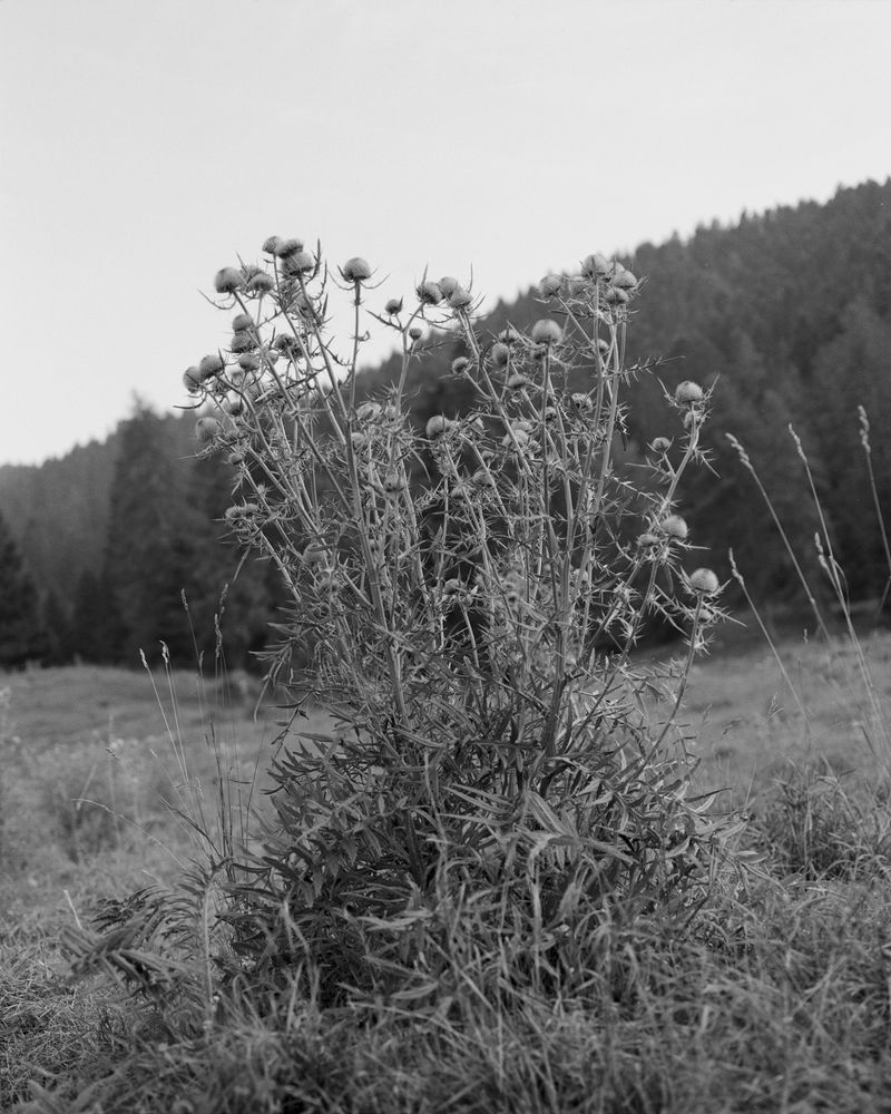 © Giulia Degasperi - Image from the These Dark Mountains photography project