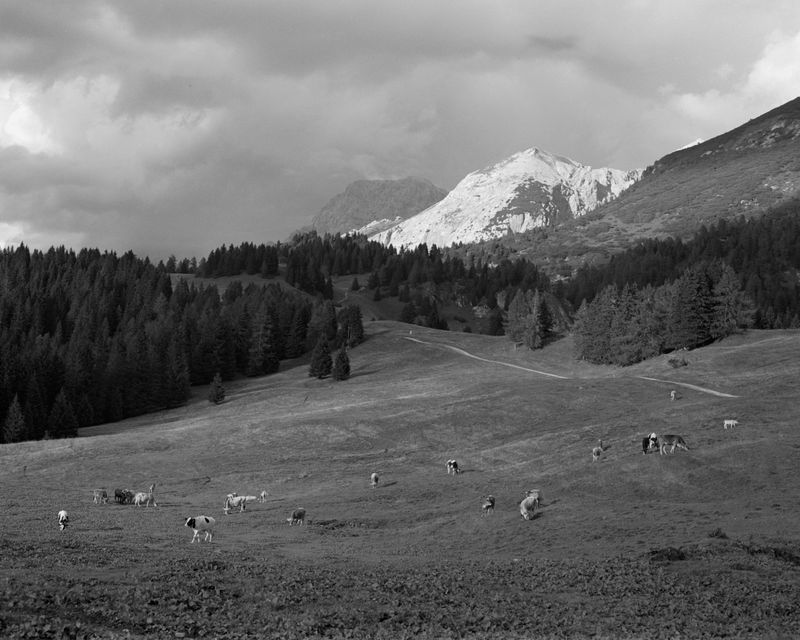 © Giulia Degasperi - Image from the These Dark Mountains photography project