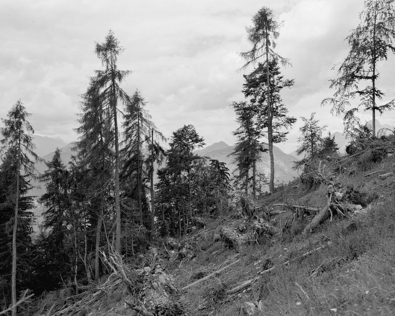 © Giulia Degasperi - Image from the These Dark Mountains photography project