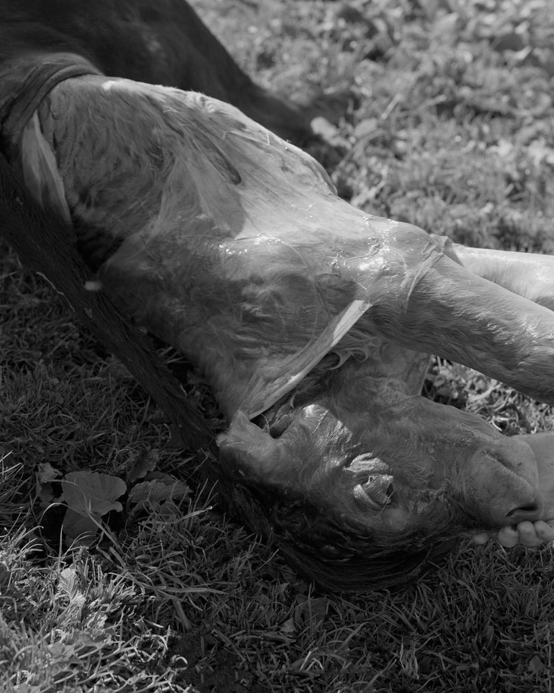 © Giulia Degasperi - Image from the These Dark Mountains photography project