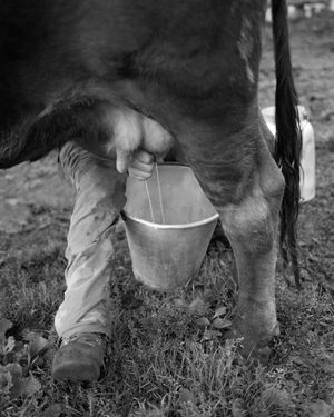 These Dark Mountains