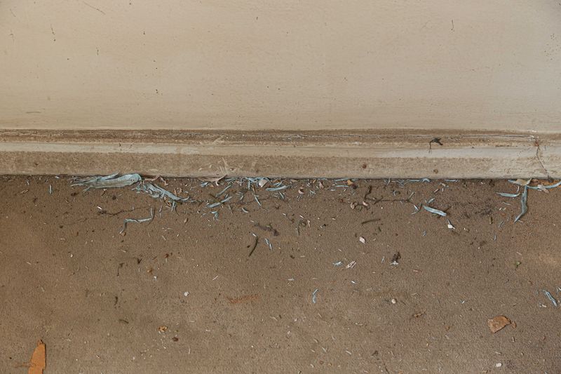 © Juliana Jacyntho - Image from the things will remain to turn off the lights of the world photography project