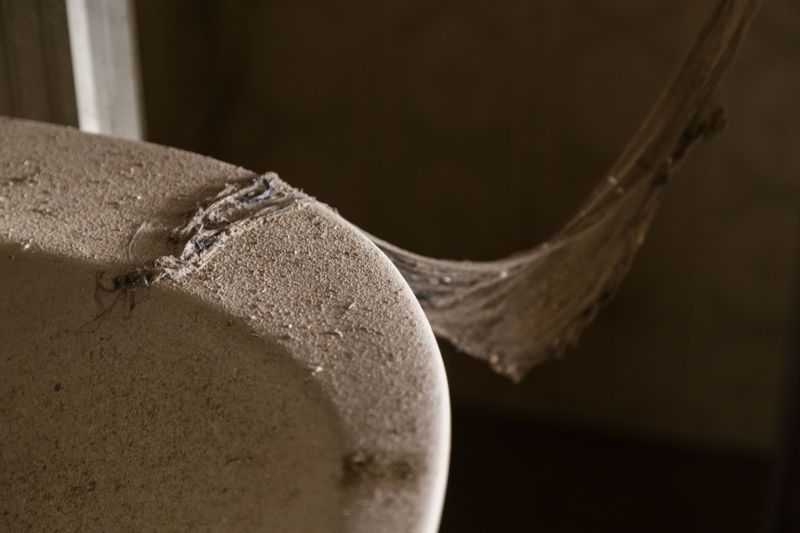 © Juliana Jacyntho - Image from the things will remain to turn off the lights of the world photography project