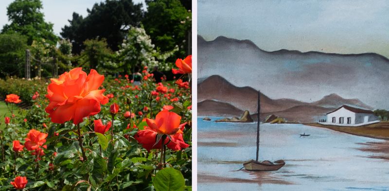 © Juliana Jacyntho - Image from the things will remain to turn off the lights of the world photography project