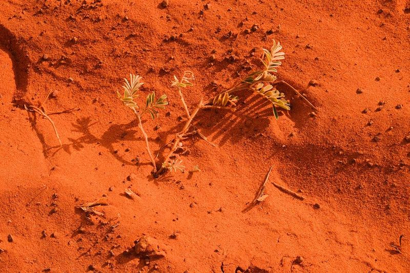 © Juliana Jacyntho - Image from the fly me to the moon photography project