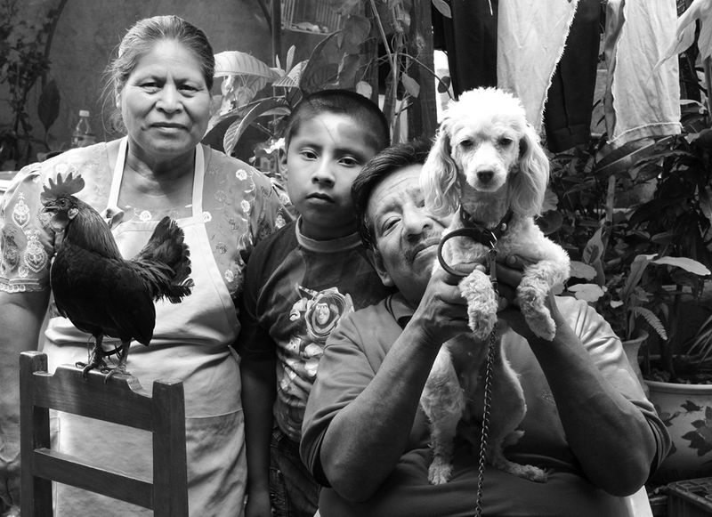© Julie Grace Immink - Family with their chicken and dog