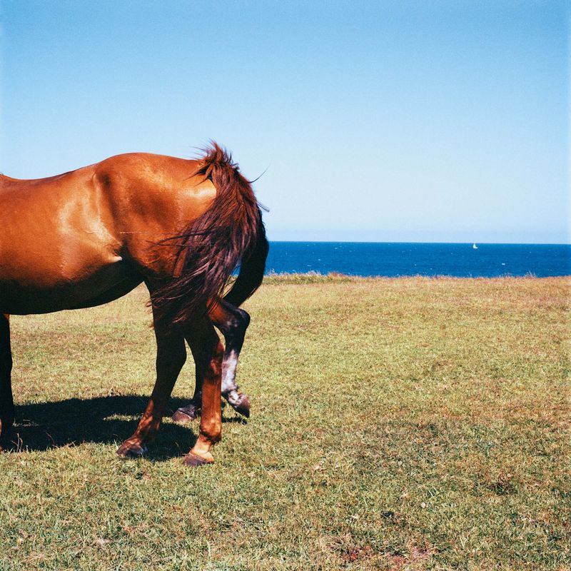 © Brenda Moreno - Image from the B to B photography project