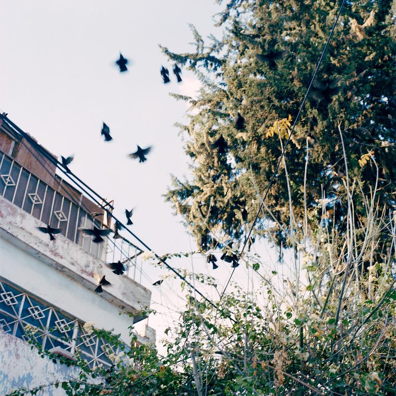 © Brenda Moreno - Image from the B to B photography project